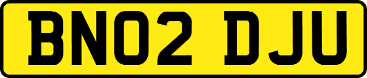BN02DJU