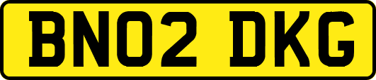 BN02DKG