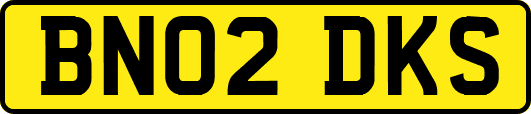 BN02DKS
