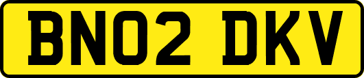 BN02DKV