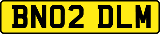 BN02DLM