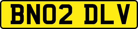 BN02DLV