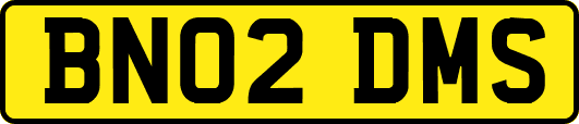 BN02DMS
