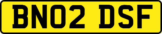 BN02DSF