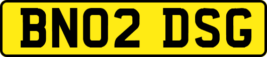 BN02DSG
