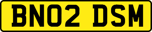 BN02DSM