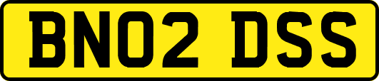 BN02DSS