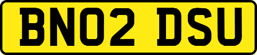 BN02DSU