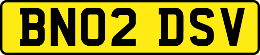 BN02DSV