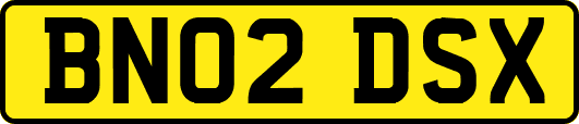 BN02DSX