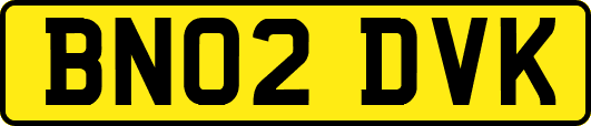 BN02DVK