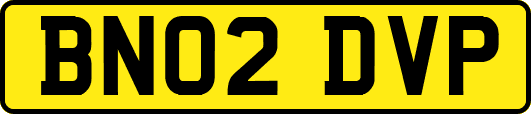BN02DVP