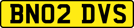 BN02DVS