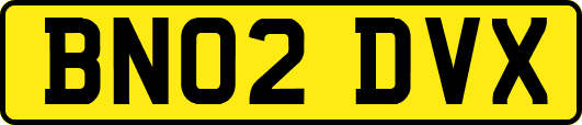 BN02DVX