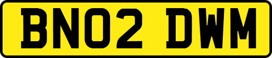BN02DWM