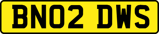 BN02DWS