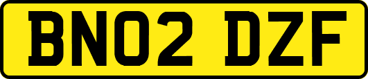 BN02DZF