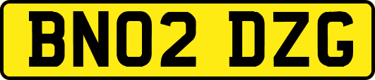 BN02DZG