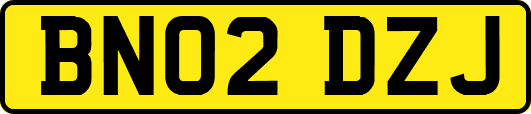 BN02DZJ