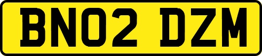 BN02DZM