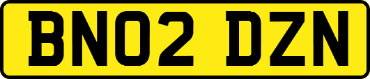 BN02DZN