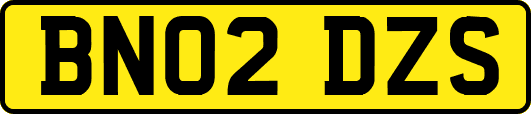 BN02DZS