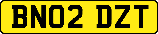 BN02DZT