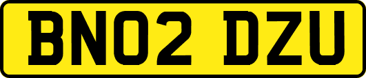 BN02DZU