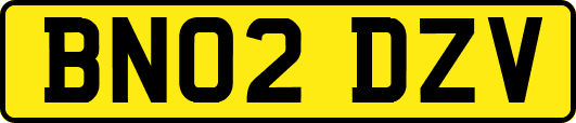 BN02DZV