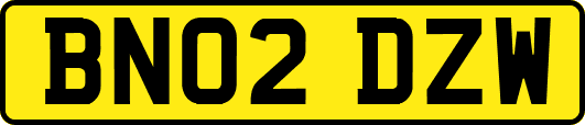 BN02DZW