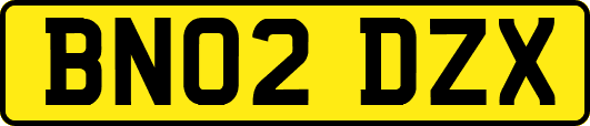 BN02DZX