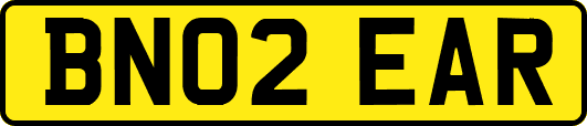 BN02EAR