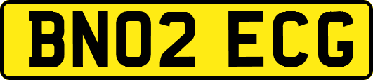 BN02ECG