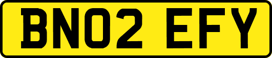 BN02EFY