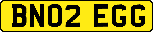 BN02EGG