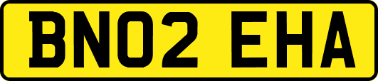 BN02EHA