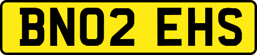 BN02EHS