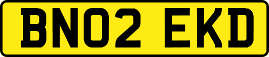 BN02EKD