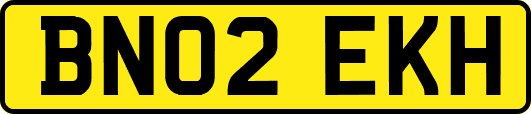 BN02EKH