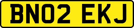 BN02EKJ