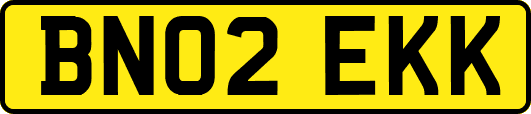 BN02EKK