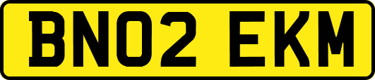 BN02EKM