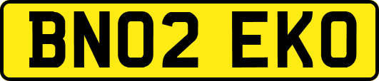 BN02EKO