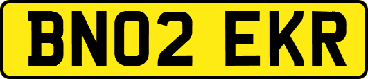 BN02EKR