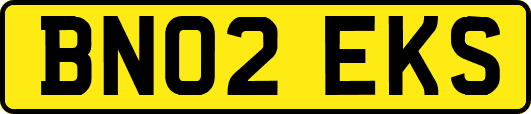 BN02EKS