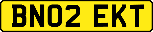 BN02EKT
