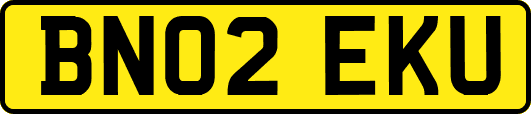 BN02EKU