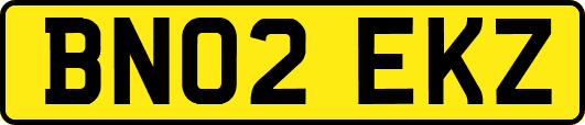 BN02EKZ