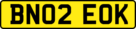 BN02EOK