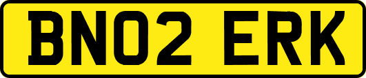 BN02ERK